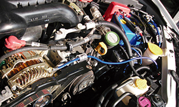 BP/BL A-F^p A[VOi0.8mm~2j